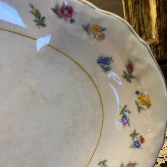 Vintage Radisson W S George Plater , Flower Pattern, Made in USA - Picture 3 of 7